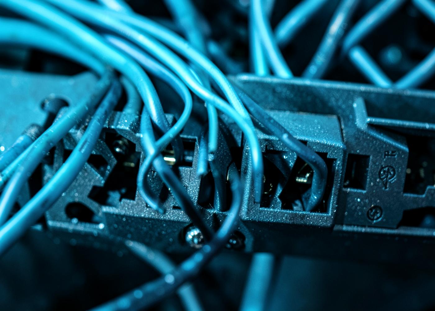 Network cabling connected to switch ports in a rack